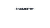 2023年中考化学复习考点过关----常见的盐及化学肥料课件