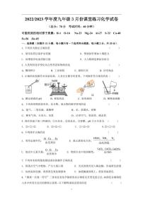 江苏省盐城市盐都区2022-2023学年九年级下学期第一次月考化学试卷