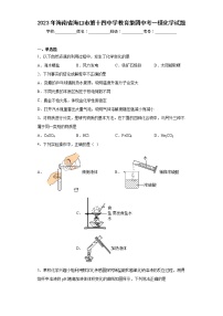 2023年海南省海口市第十四中学教育集团中考一模化学试题（含答案）