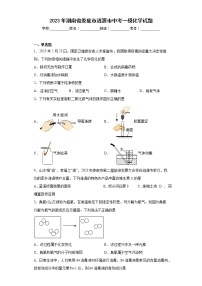 2023年湖南省娄底市涟源市中考一模化学试题（含答案）