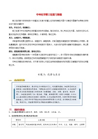 中考化学三轮冲刺过关  专题05 化学与生活