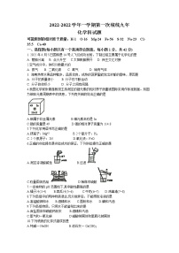 2023年海南省海口市中考一模化学试题