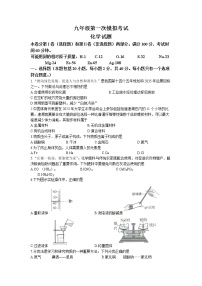 2023年山东省泰安市新泰市中考一模化学试题