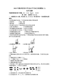 2023年陕西省渭南市合阳县第三初级中学中考一模化学试题