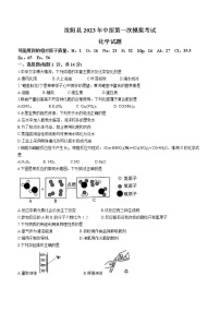 2023年河南省洛阳市汝阳县中考一模化学试题(含答案）