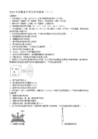 2023年安徽省中考仿真化学试卷（十一）（含答案）