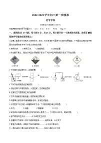 2023年广东省东莞市阳光实验中学九年级一模测试化学卷（含答案）