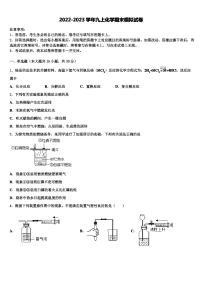 2022-2023学年安徽省阜阳市颍州区化学九年级第一学期期末学业质量监测模拟试题含解析