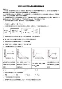 2022-2023学年山东省青岛市即墨区第二十八中学九年级化学第一学期期末质量检测试题含解析