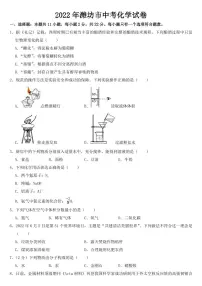 2022年山东省潍坊市中考化学试卷【附参考答案】