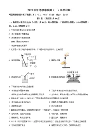 2023年山东省聊城市临清市中考一模化学试题(含答案)