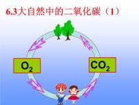 鲁教版九年级上册第三节 大自然中的二氧化碳课文内容ppt课件