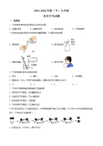 辽宁省沈阳市兴华实验中学2021-2022学年九年级下学期月考化学试题