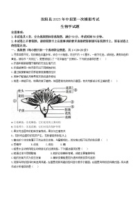 2023年河南省洛阳市汝阳县中考一模生物试题（含答案）