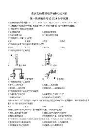2023年重庆市九龙坡区实验外国语学校中考一模化学试题(含答案)