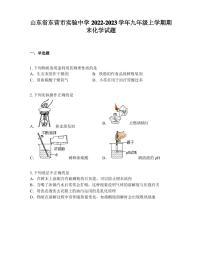 山东省东营市实验中学2022-2023学年九年级上学期期末化学试题