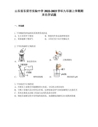 山东省东营市实验中学2022-2023学年九年级上学期期末化学试题