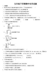 黑龙江省大庆市2023年九年级下学期期中化学试题【含答案】