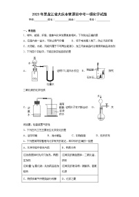 2023年黑龙江省大庆市肇源县中考一模化学试题（含答案）