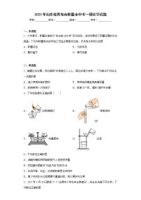 2023年山东省青岛市即墨市中考一模化学试题（含答案）