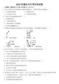 2022年山东省烟台市中考化学试卷【附参考答案】