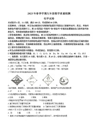 2023年广东省惠州市惠东县中考一模化学试题（含答案）