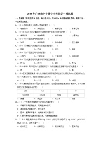 2023年广西南宁市第十四中学中考一模化学试卷