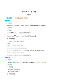 第十一单元  盐  化肥【知识梳理】 -2022-2023学年人教版化学九年级下册单元综合复习