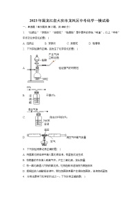 2023年黑龙江省大庆市龙凤区中考化学一模试卷（含解析）