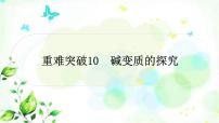 中考化学复习重难突破10碱变质的探究练习课件