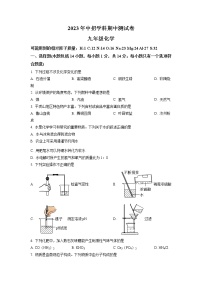 2023年河南省平顶山市中考一模化学试题