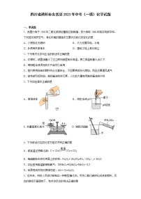 四川省资阳市安岳县2023年中考（一模）化学试题