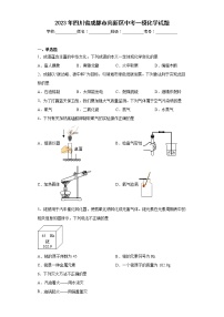 2023年四川省成都市高新区中考一模化学试题