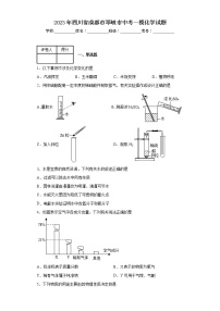 2023年四川省成都市邛崃市中考一模化学试题