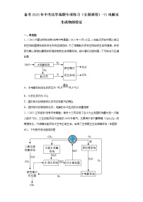 备考2023年中考化学真题专项练习（全国通用）-71电解水生成物的验证