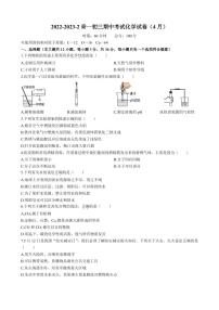 湖南省长沙市青竹湖初三九年级下册期中考试化学试卷（带答案）