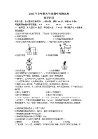 湖南省长沙市雅礼教育集团2022-2023学年九年级下学期期中化学试题