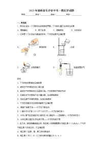 2023年湖南省长沙市中考一模化学试题