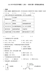 2023年中考化学沪教版（上海）一轮练习题常用的金属和盐