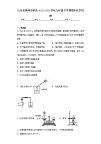 山东省菏泽市单县2022-2023学年九年级下学期期中化学试题（含答案）