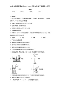 山东省菏泽市郓城县2022-2023学年九年级下学期期中化学试题（含答案）