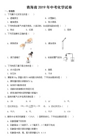 青海省2019年中考化学试卷【含答案】