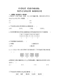 中考化学 三轮冲刺考前冲刺训练：化学式与化合价 物质的分类（含答案）