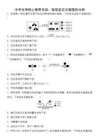 中考化学一轮复习课时练：微观反应示意图的分析 (含答案)