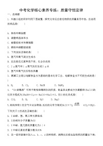 中考化学一轮复习课时练:质量守恒定律 (含答案)