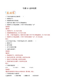 中考化学二轮复习考点练习专题10 盐和化肥（考点专练）（教师版）