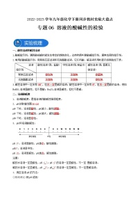 中考化学二轮复习(人教版)九下实验专题06溶液的酸碱性检验（教师版）