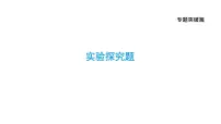 中考化学二轮专题复习专题课件- 实验探究题 (含答案)