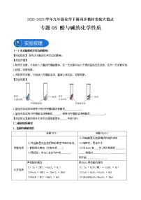 专题05酸与碱的化学性质—2022-2023学年九年级化学下册同步教材实验大盘点（人教版）（学生版）