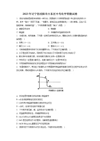 2023年辽宁省沈阳市大东区中考化学零模试卷（含答案解析）